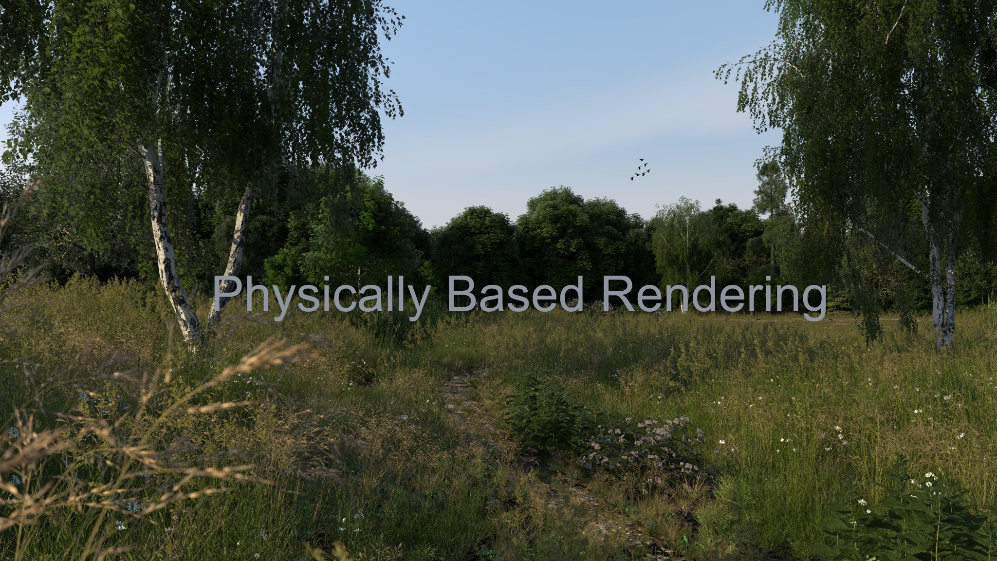 Physically Based Rendering（渣翻）前言